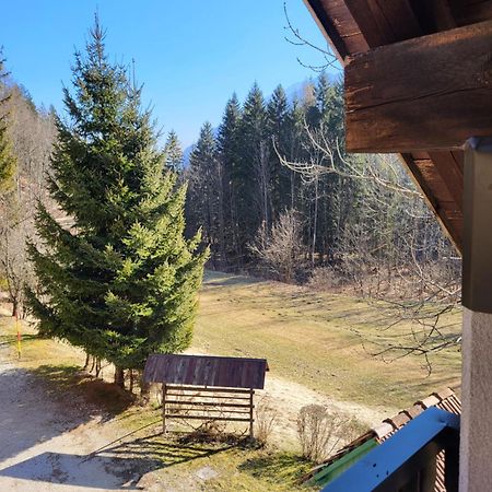 Apartment Dobnikar Краньска Гора Экстерьер фото