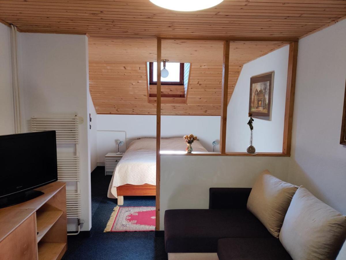 Apartment Dobnikar Краньска Гора Экстерьер фото