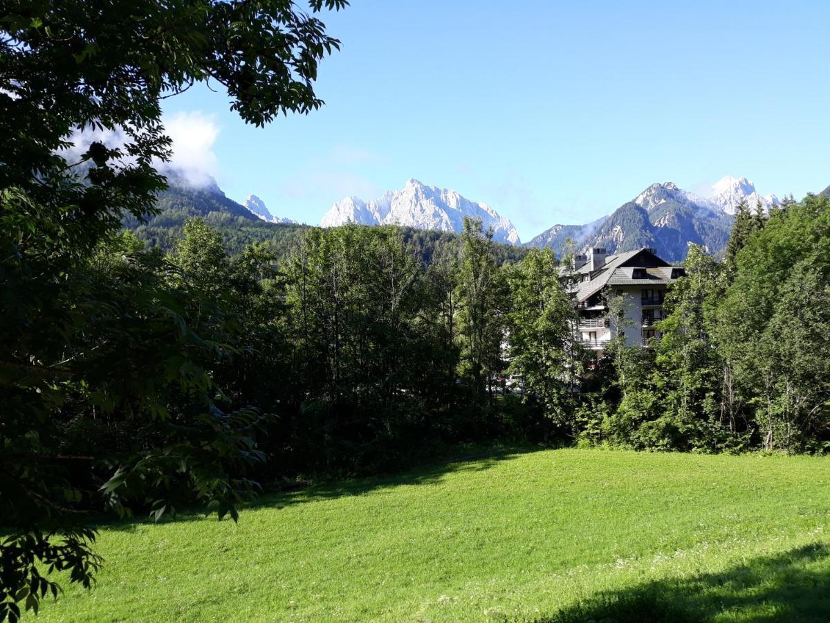 Apartment Dobnikar Краньска Гора Экстерьер фото