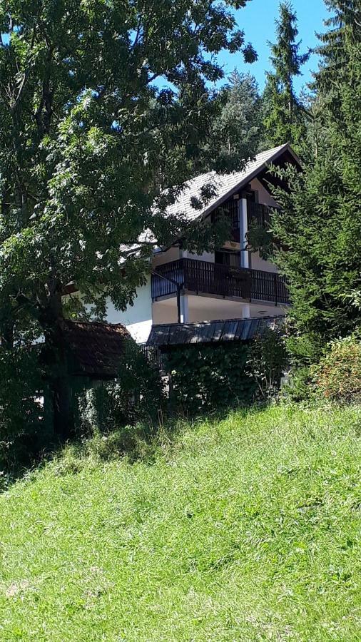 Apartment Dobnikar Краньска Гора Экстерьер фото